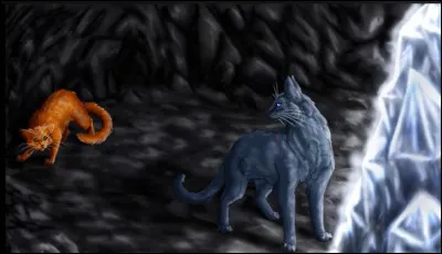 Qui sont ses apprentis ?