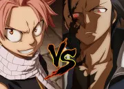 Quiz Natsu, Grey ou bien les deux ?