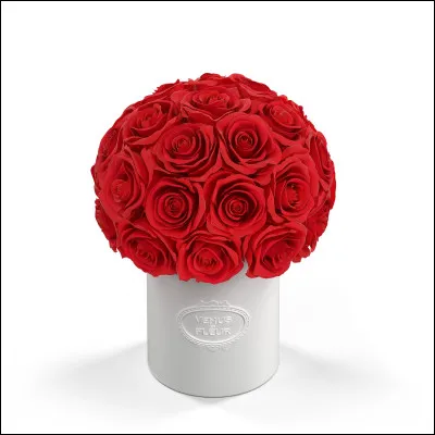 Quelles fleurs aimes-tu ?