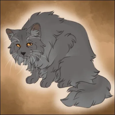 Vers la fin du cycle cinq, Houx a eu des chatons. Mais combien ?