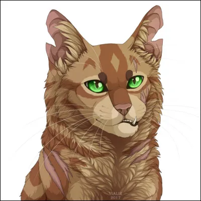 Dans toutes les histoires, un protagoniste est présent. Mais qui est-il dans le cinquième cycle ? (Parmi ces noms de chats, une seule réponse est possible)