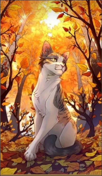 À quelle partie du corps Pic Crochu s'est-il blessé ?