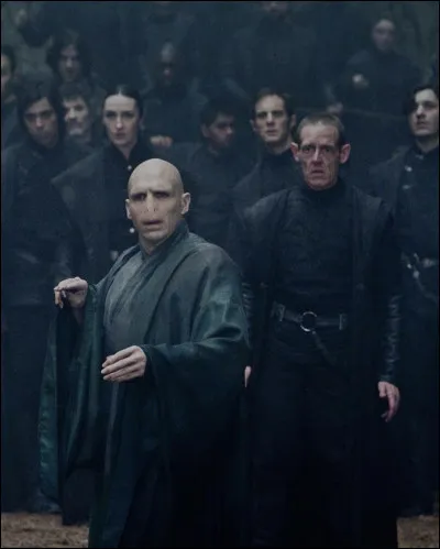 Quel est le nom de famille de la mère de Voldemort ? (Harry Potter 6)