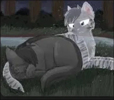 Comment est morte Rivière d'Argent ?