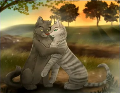 Et enfin, qui Plume Grise choisira-t-il au Clan des Etoiles ?