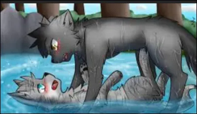 Qui sont les enfants de Rivière d'Argent et Plume Grise ?