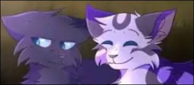 Lequel de ces chatons a participé au Grand Périple ?