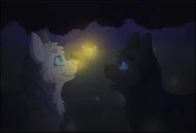 Qui, parmi ces deux chattes, peut aller dans la Tribu de la Chasse Eternelle ?