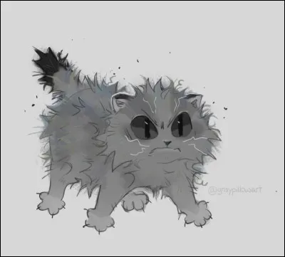 Tu reçois les résultats de tes B.U.S.E, quelle est la matière où tu as obtenu un Optimal ?