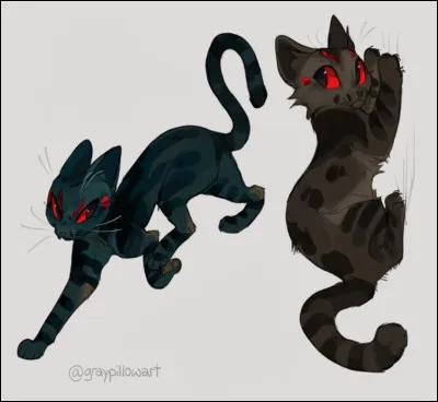 Tu reçois les résultats de tes B.U.S.E, quelle est la matière où tu as obtenu un Optimal ? -3