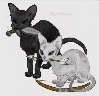 Quel pouvoir préfères-tu ? -3