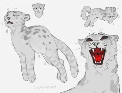 Quel professeur préfères-tu ? -2