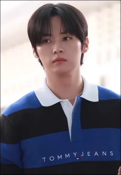 Et pour finir, quelle est la position de Lee Know dans Stray Kids ?