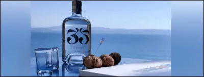 Des trois alcools cités ci-dessus (qui sont sensiblement les mêmes), lequel boit-on en Turquie ?