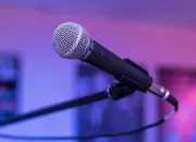 Quiz Qui est ce chanteur ?