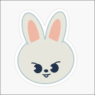 À qui appartient ce skzoo ?