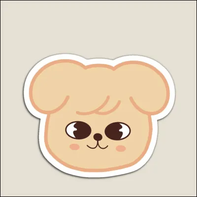 À qui appartient ce skzoo ?