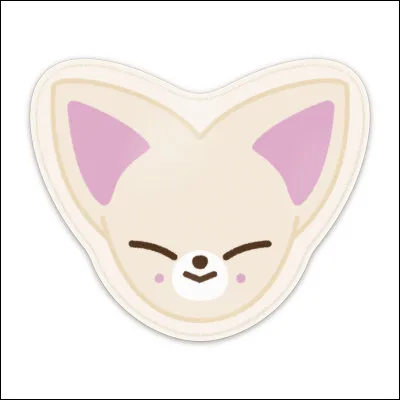 À qui appartient ce skzoo ?