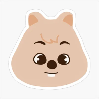 À qui appartient ce skzoo ?