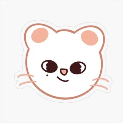 À qui appartient ce skzoo ?