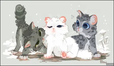 Bien, commençons lhistoire.
Tu marches tranquillement seul(e) dans la forêt, de nuit, quand tu entends le hurlement dun loup qui semble proche. Comment réagis-tu ?