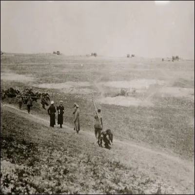 En quelle année la bataille de Verdun a-t-elle eu lieu ?