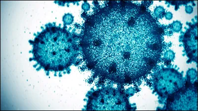 En quelle année le virus de la COVID-19 a-t-il fait des ravages dans le monde entier ?