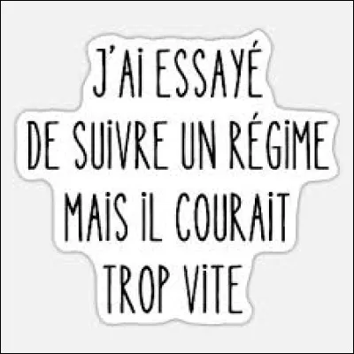 Comment les parlementaires seraient-ils choisis dans un régime stochocratique ?