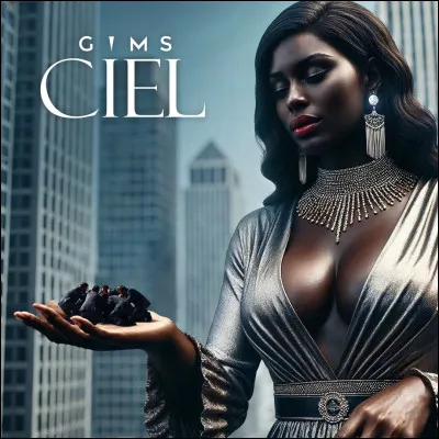 Quand la musique "Ciel", chantée par notre célèbre chanteur Gims est-elle sortie (en quelle année) ?
