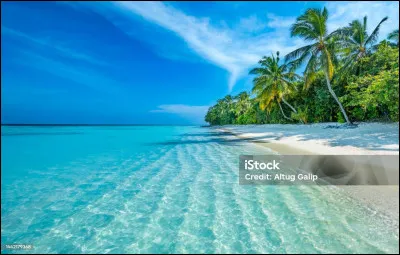 Faites mariner vos neurones et trouvez la solution !