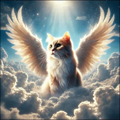 Quelle est ta couleur préférée ?