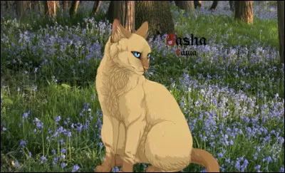 Que fais-tu quand tu n'a pas cours ?