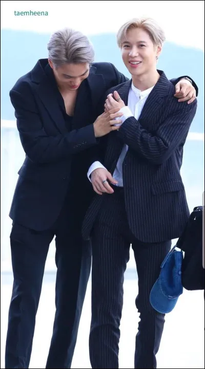 Les membres de ce groupe ont lancé leur carrière solo.