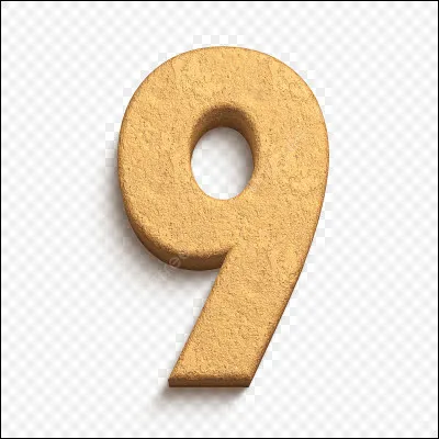 A l'origine, ils devaient être 9 membres.