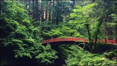 Laquelle de ces fôrets japonaises est réputée pour être le lieu de la plupart des suicides de la région ?