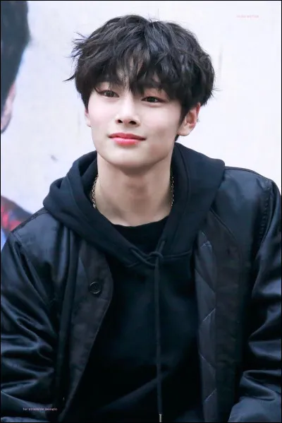 Comment surnomme-t-on Jeongin ?