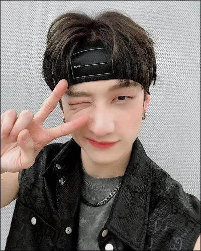 De quel sous-groupe fait-il partie ?