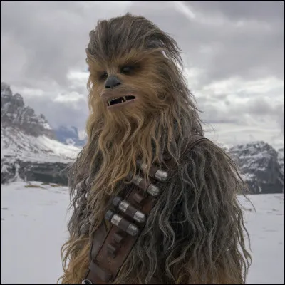 8. Chewbacca - Dans quel film le voit-on pour la première fois (à supposer qu'on regarde dans l'ordre chronologique) ?