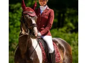 Quiz Les races de chevaux