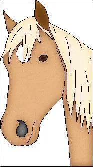 Comment appelle-t-on cette marque en tte ?