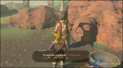 Dans "TOTK", Grosaillieh a eu...