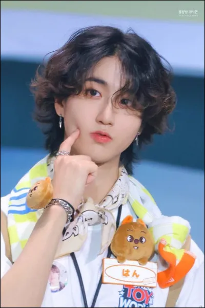 Quel est le nom de ce membre ?