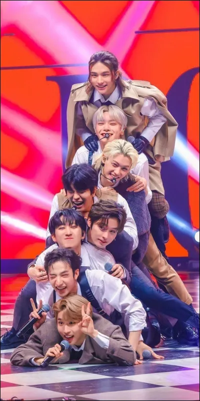 Donne le nom des membres de haut en bas.