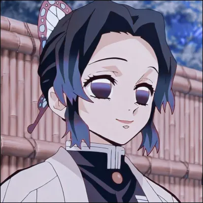 De quel manga vient ce personnage ?