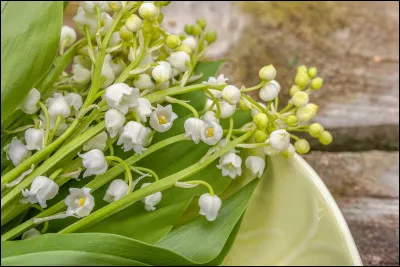 Nous allons aborder le 5e mois de l'année. Je prétends que l'on peut ajouter la voyelle ''e'' à la fin de son nom et nous obtenons un substantif féminin servant aux boulangers.