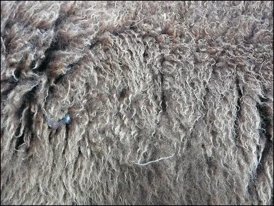 Sébastian et Nikki sont les héros de...