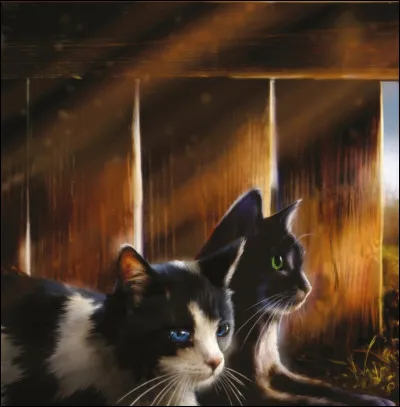 Qui vit avec ce chat ?