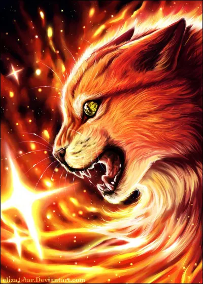 Quel est le nom de chat domestique d'Étoile de Feu ?