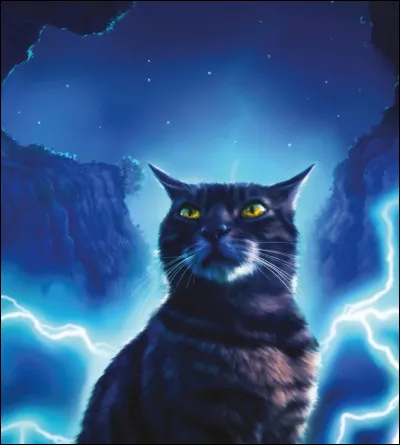 Qui est le meilleur ami d'Étoile de Feu ?