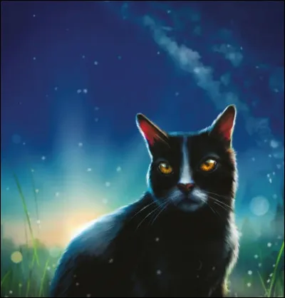 Plus simple, qui est le chef du Clan du Vent ?